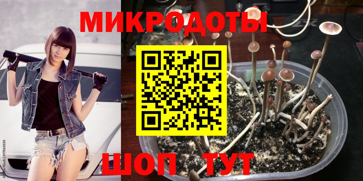 Лесной  Псилоцибиновые грибы Psilocybine cubensis  Вход с VPN 