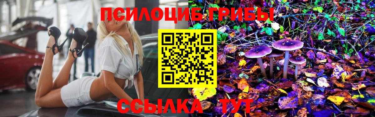 Псилоцибиновые грибы Magic Shrooms Лесной